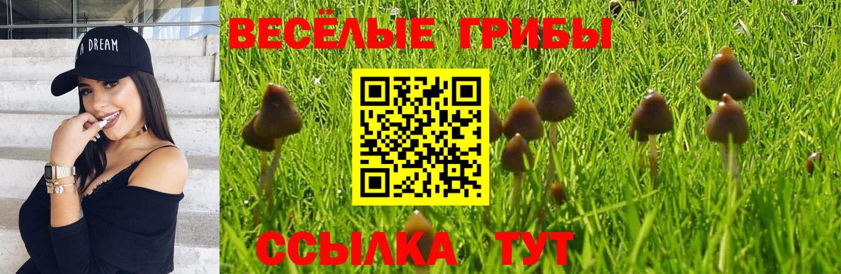 Галлюциногенные грибы Psilocybe  Вход с VPN  Карпинск  Галлюциногенные грибы мухоморы 