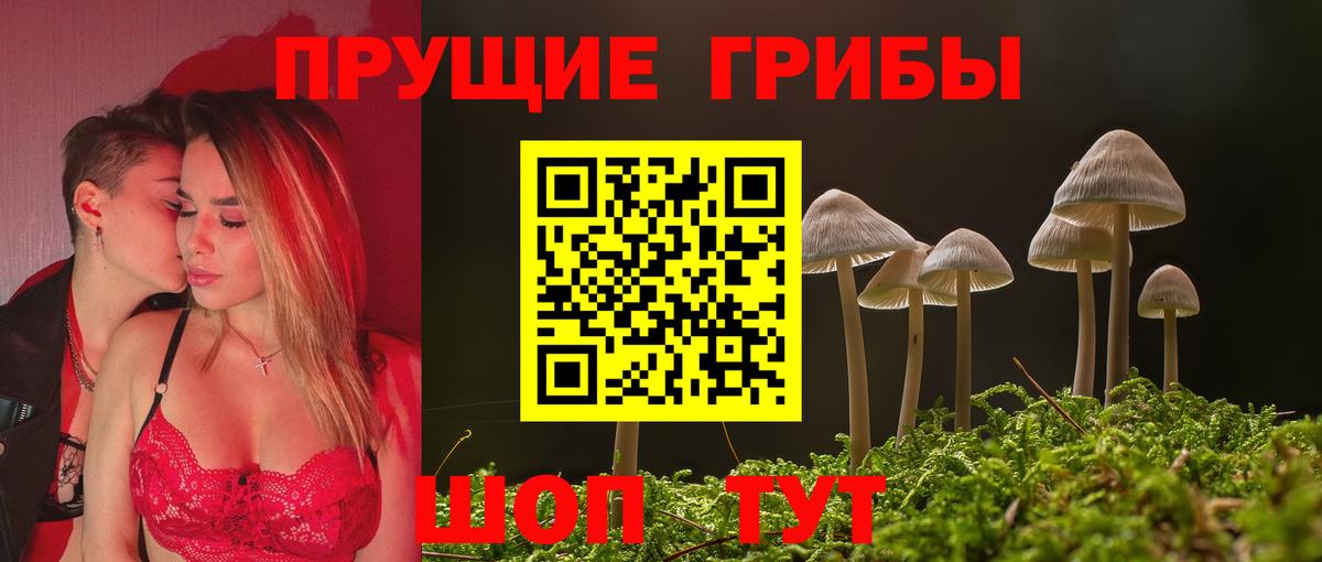 Галлюциногенные грибы Psilocybine cubensis Карпинск